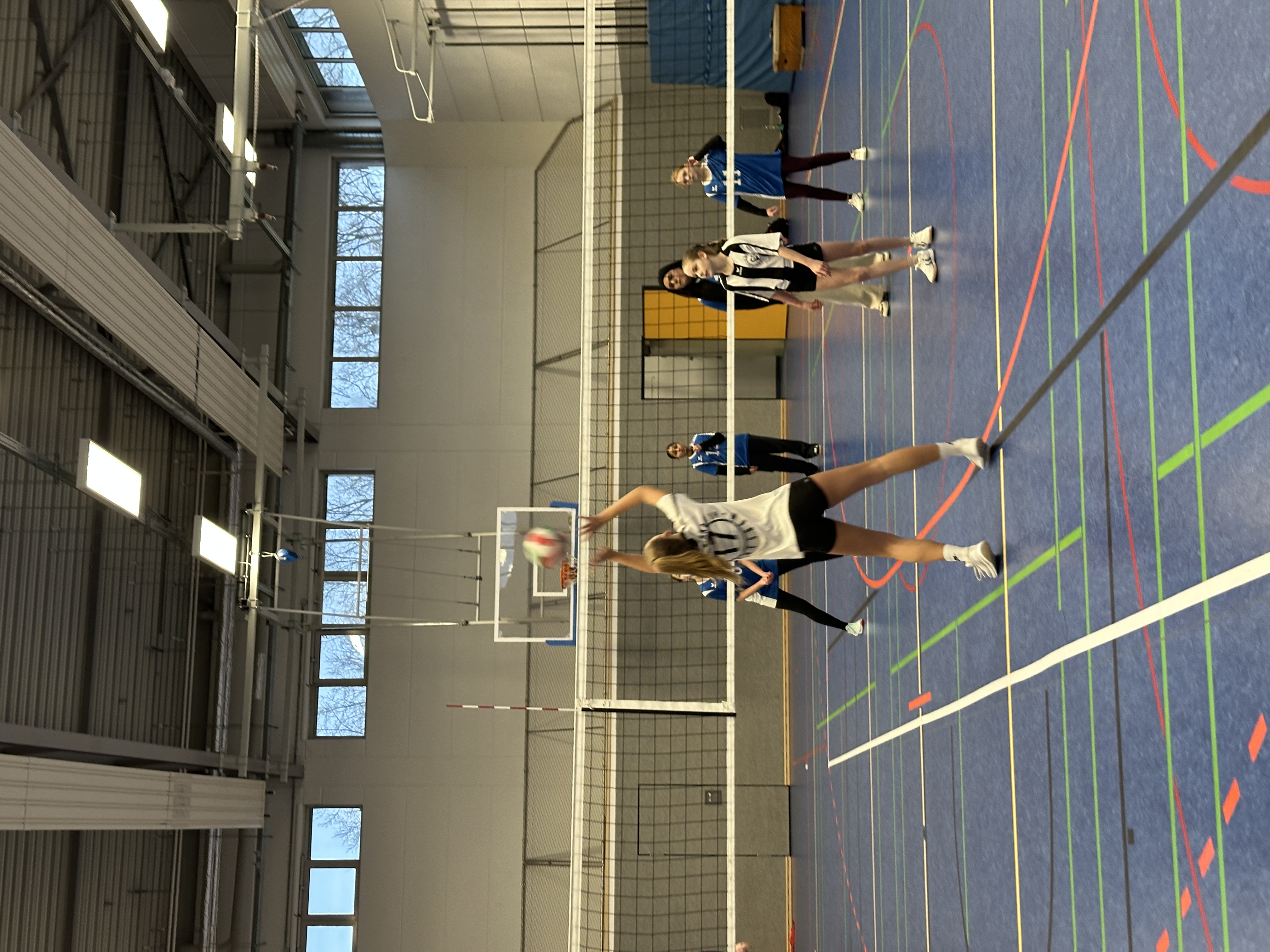 Volleyball IMG 7411