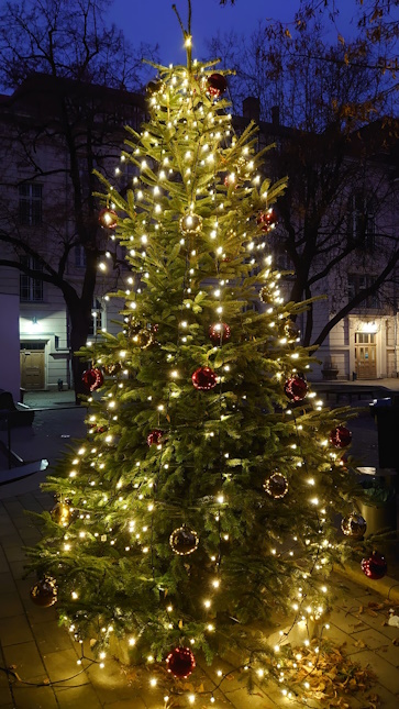 Weihnachtsbaum